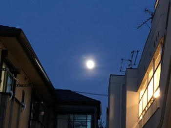 2018Oct22-Moon - 1.jpg